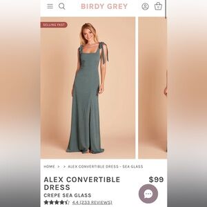 Birdy Grey “Alex” dress
